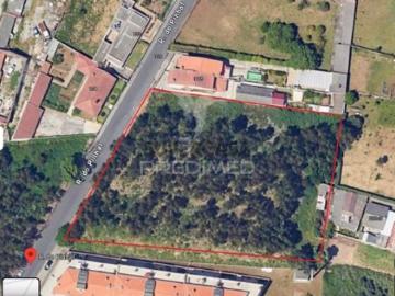 Terreno em Canelas