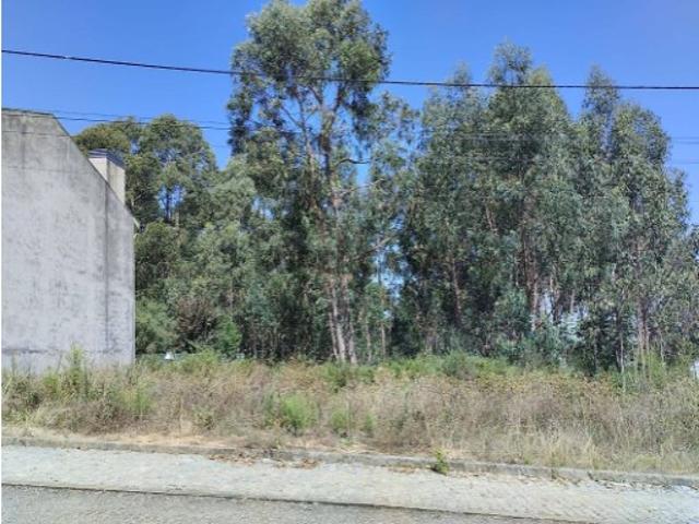 Terreno em Canelas