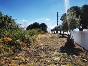 Terreno em Casal das Pratas Cartaxo Para Construção de 9480 m2
