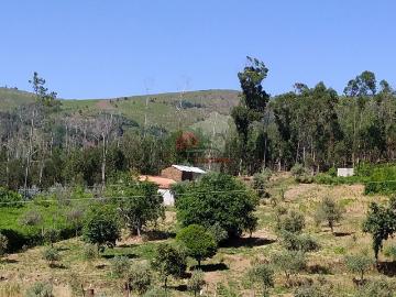 Terreno em Castanheira de Pêra