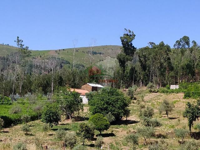 Terreno em Castanheira de Pêra