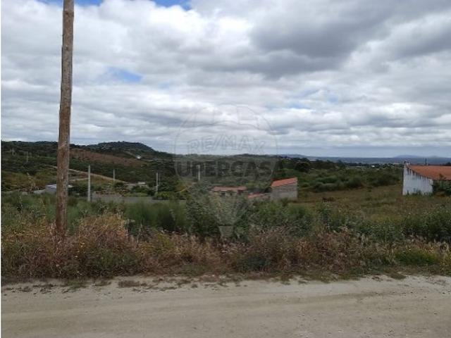 Terreno em Castelo Branco