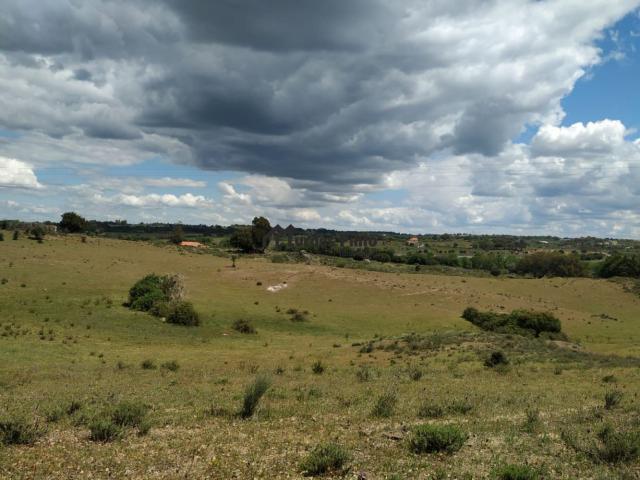 Terreno em Castelo Branco