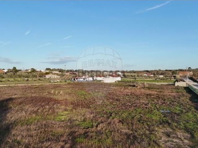 Terreno em Castelo Branco