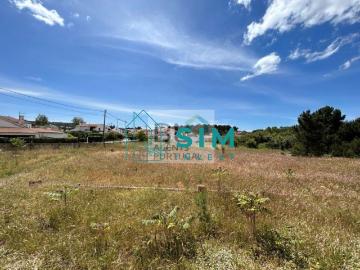 Maçã, Castelo, Sesimbra