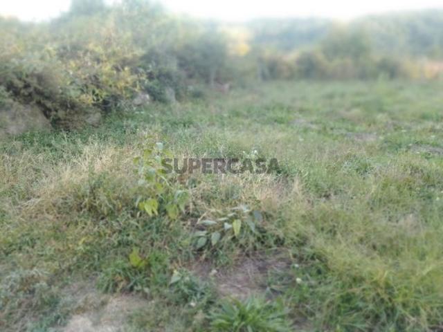 Terreno em Castro Daire