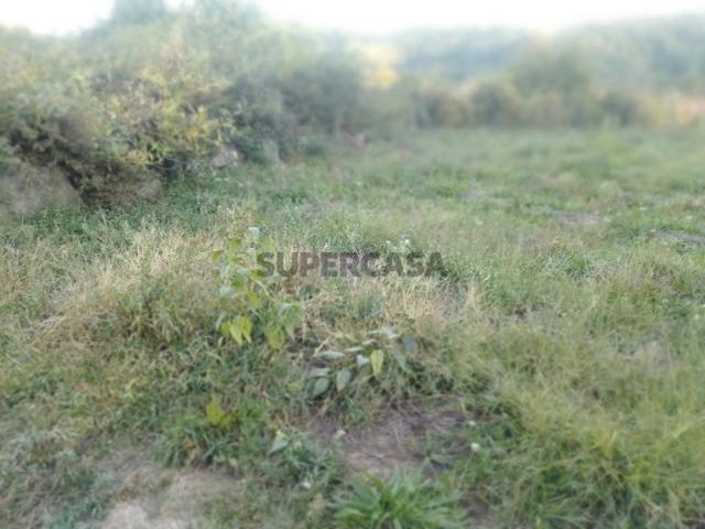 Terreno em Castro Daire