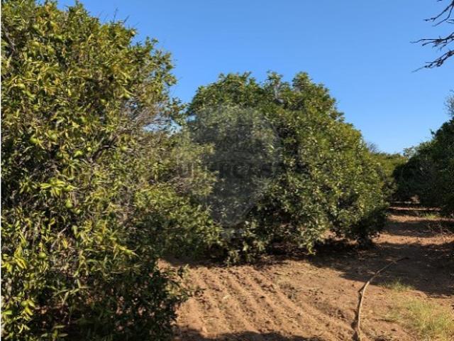 Terreno em Castro Marim