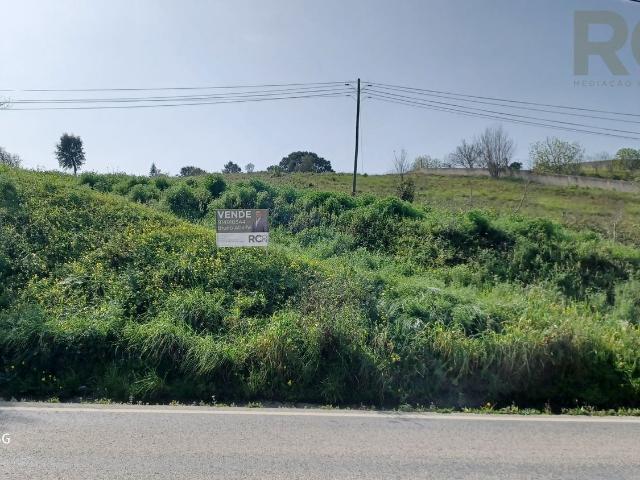 Terreno em Carmões