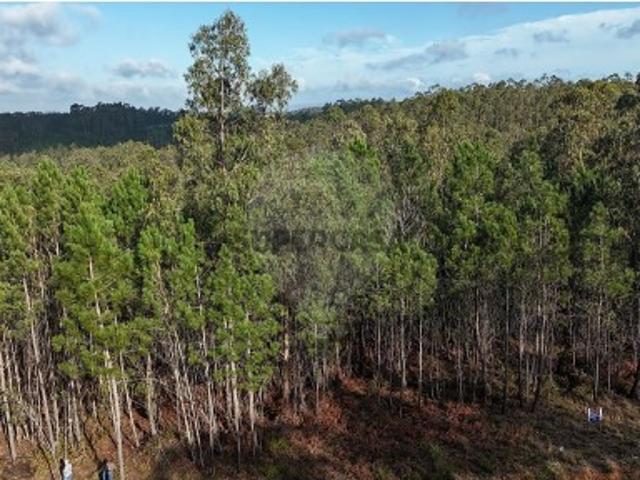 Terreno em Carnide