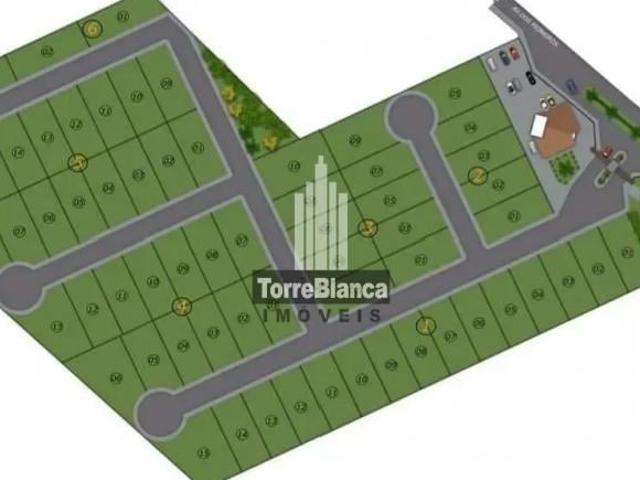 Terreno em, Carambeí/PR de 10m² à venda por R$ 207.000,00