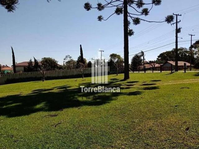 Terreno em, Carambeí/PR de 10m² à venda por R$ 600.000,00