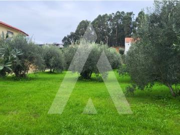 Terreno em Caranguejeira Leiria