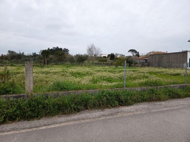 Terreno em Carapinheira
