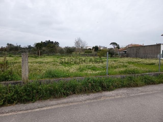 Terreno em Carapinheira