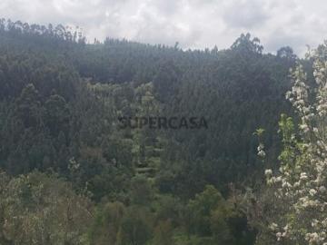 Terreno em Cardigos de 14450,00 m²