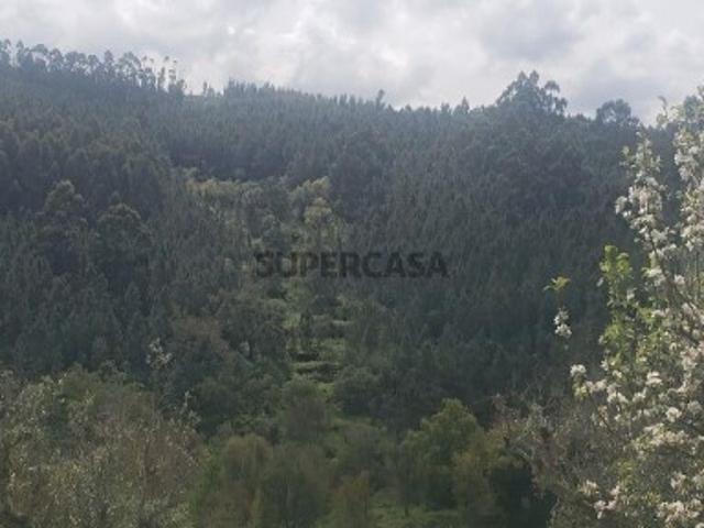 Terreno em Cardigos de 14450,00 m²