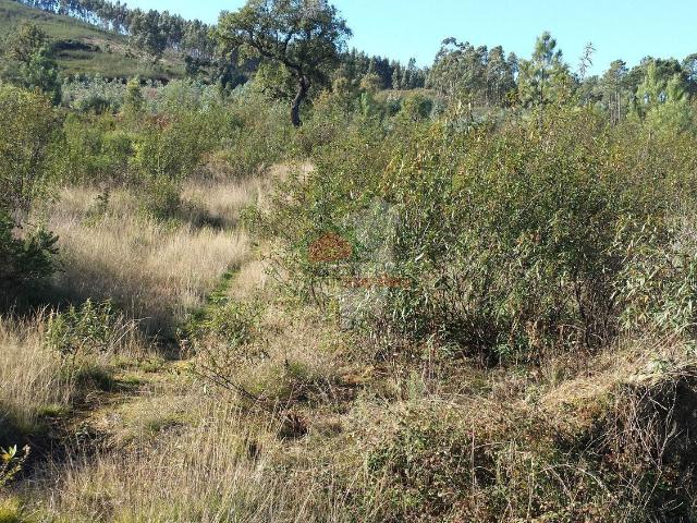 Terreno em cardigos