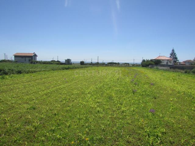 Terreno em Carreço