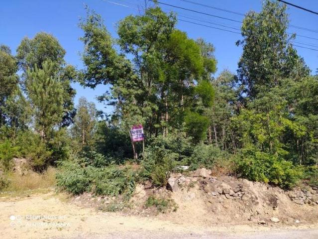 Terreno em Carregosa, Oliveira de Azeméis