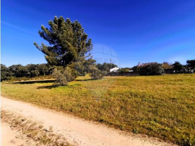 Terreno em Carregueira