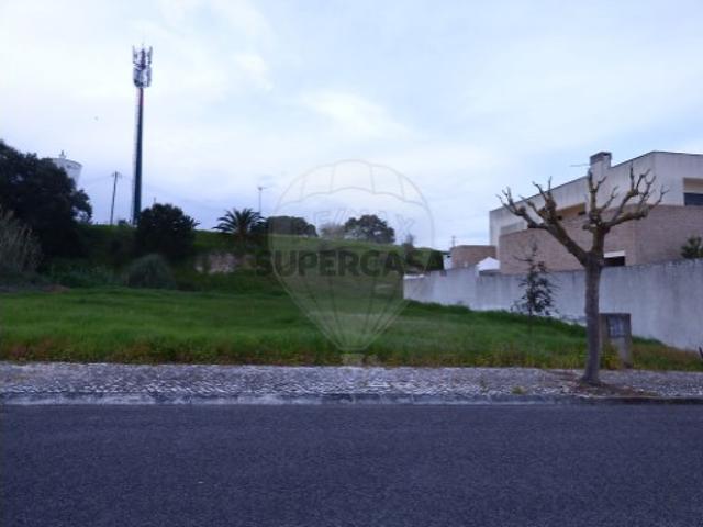 Terreno em Cartaxo e Vale da Pinta