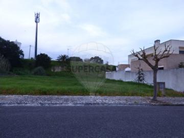 Terreno em Cartaxo e Vale da Pinta