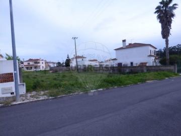 Terreno em Cartaxo e Vale da Pinta