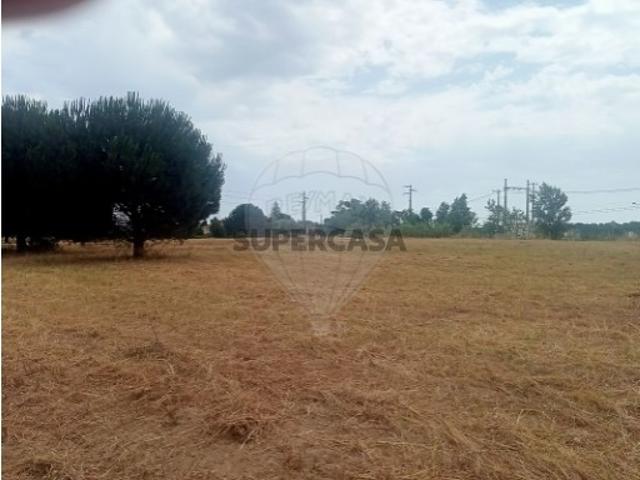 Terreno em Cartaxo e Vale da Pinta