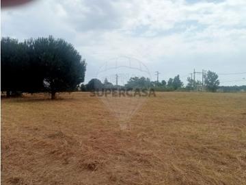 Terreno em Cartaxo e Vale da Pinta