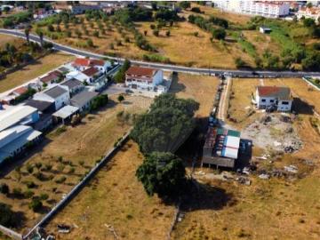 Terreno em Cartaxo e Vale da Pinta
