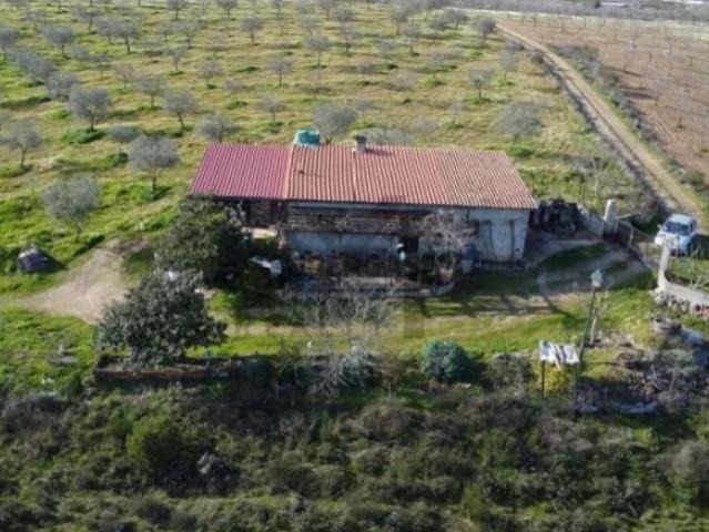 Terreno em Passos