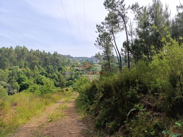 Terreno em Carvalhal