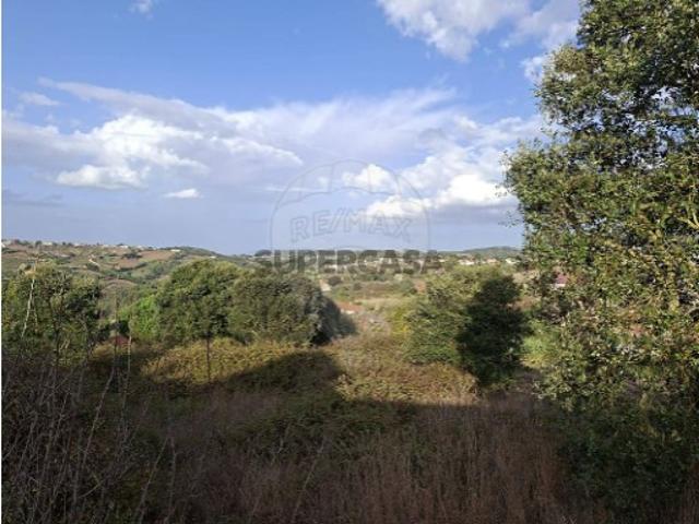 Terreno em Carvalhal Benfeito