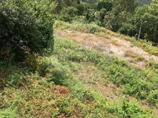 Terreno em Carvalheira