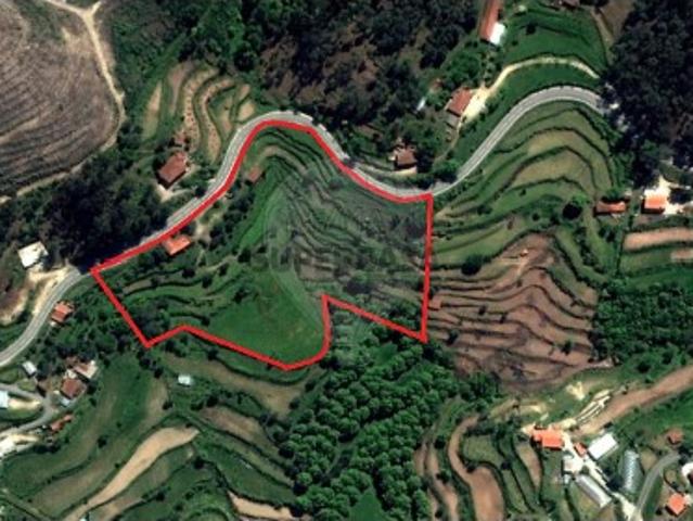 Terreno em Carvalho e Basto Santa Tecla