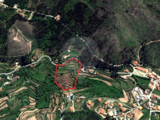 Terreno em Carvalho e Basto Santa Tecla