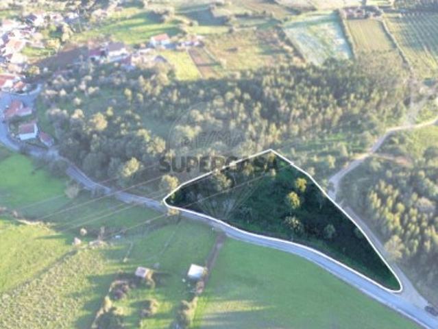 Terreno em Carvoeira e Carmões