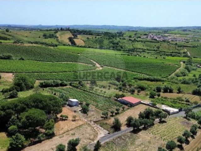 Terreno em Carvoeira e Carmões