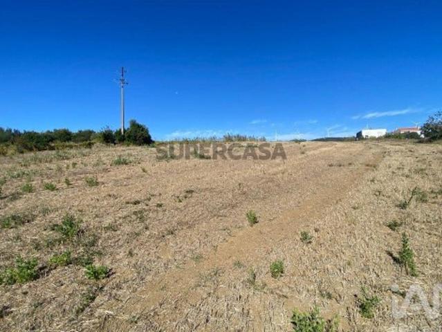 Terreno em Carvoeira e Carmões