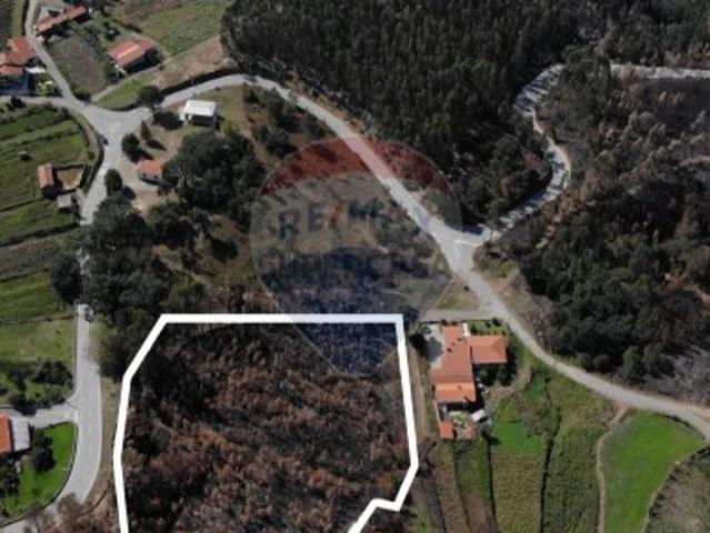 Terreno em Cedrim