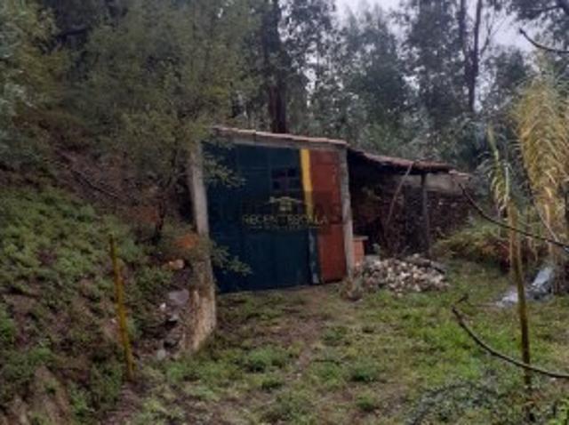 Terreno em Ceira Coimbra