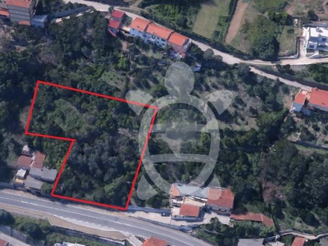 Terreno em Ceira