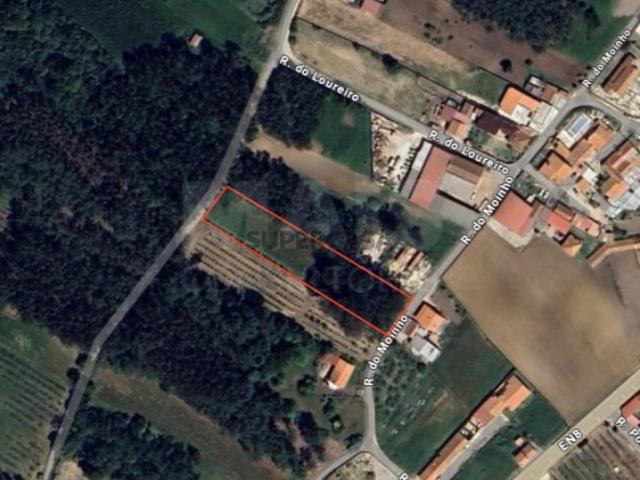 Terreno em Cela