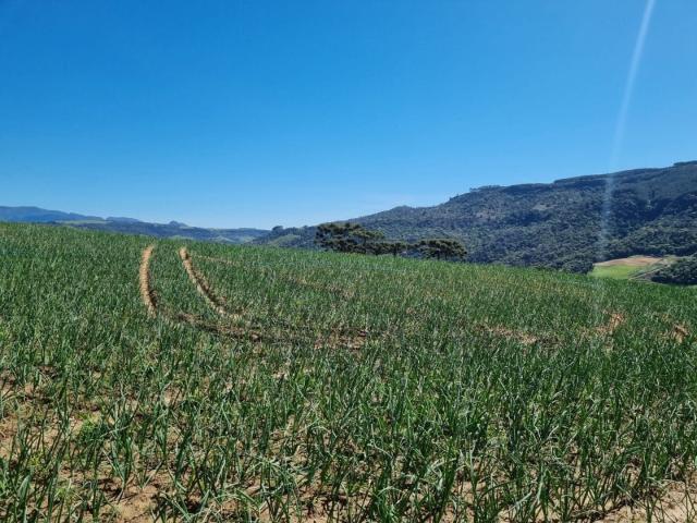 Terreno em Centro, Alfredo Wagner/SC de 0m² à venda por R$ 529.700,00