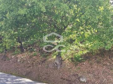 Terreno em Cepães Fafe