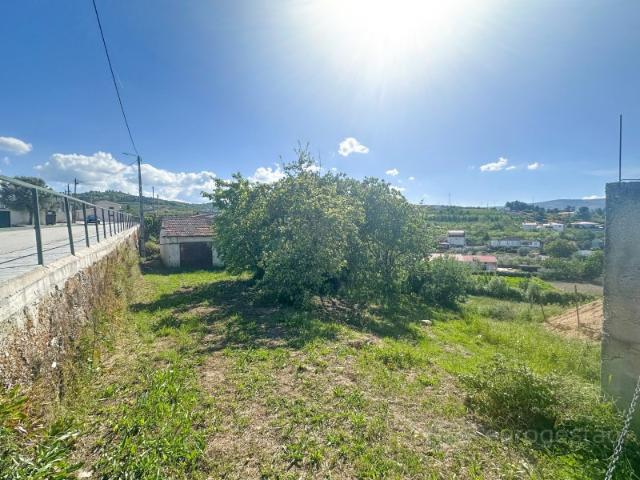 Terreno em Cepões, Lamego