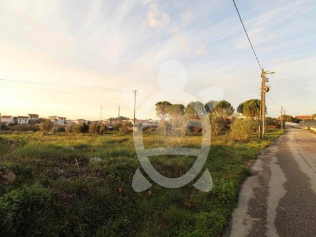 Terreno em Cernache