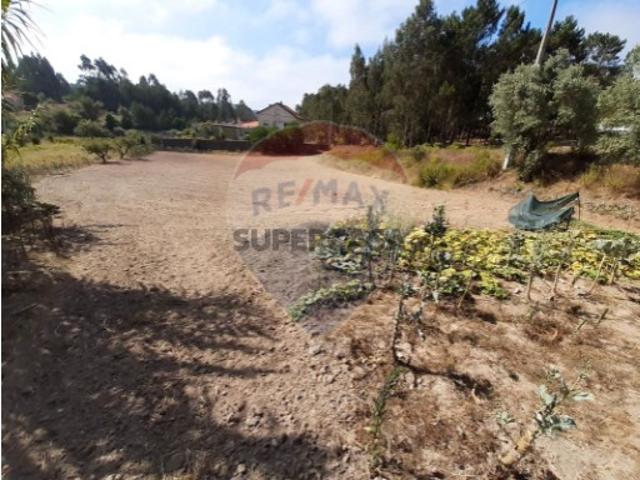 Terreno em Cercal
