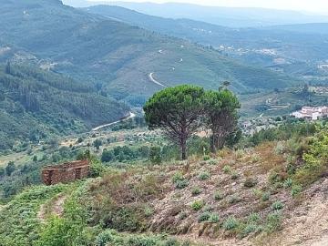 Terreno em Cerdeira e Moura da Serra